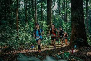 BIB: 
                            <button type="button" onclick="openModal(26133372)" class="btn btn-primary btn-sm float-right btn-popup" data-toggle="modal" data-target=".modal-high-quality">
                        <i class="fas fa-shopping-cart"></i> Add to Cart
                    </button>
                                            <button type="button" onclick="isThisMe(26133372, true)" class="btn btn-success btn-sm float-right btn-popup btn-isme hidden" data-toggle="tooltip" data-placement="bottom" title="นี่คือรูปของคุณใช่ไหม คลิกที่นี่เพื่อเอาเข้าอัลบั้ม">
                        <i class="fas fa-plus"></i> Add to album
                    </button>
                    <button type="button" onclick="isThisMe(26133372, false)" class="btn btn-warning btn-sm float-right btn-popup btn-isnotme hidden">
                        <i class="fas fa-ban"></i> Remove from album
                    </button>